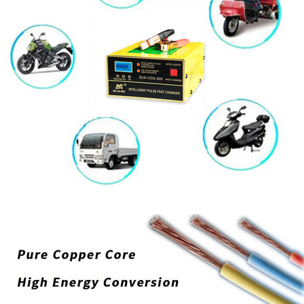 Automobile Battery Charger 12V24V