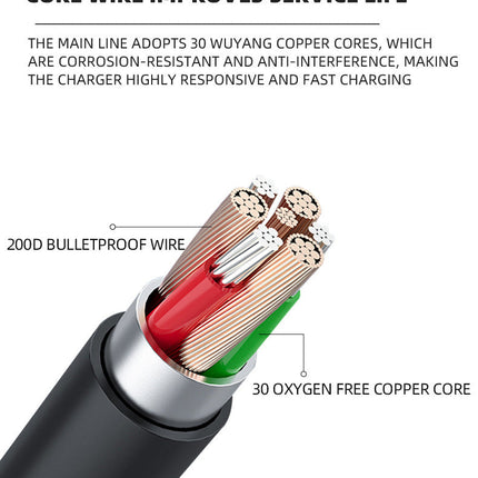 Automobile Battery Charger 12V24V