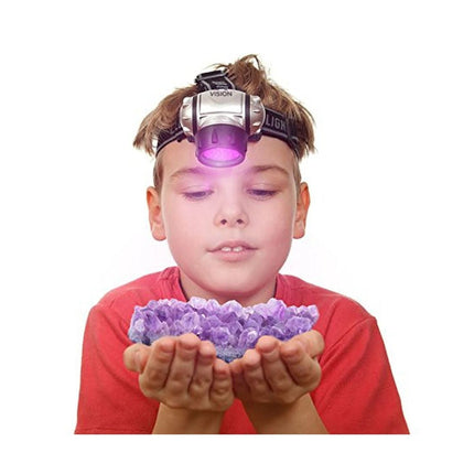 Fashion Simple LED Plastic Purple Headlight