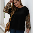Black / 3XL