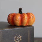 Pumpkin / Shorts