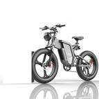 Magnesium alloy wheels grey / 10AH 40KM / EU
