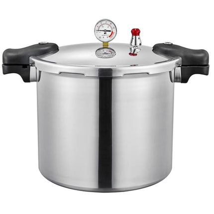 Sleek, Modern, High-Capacity Gas Induction Cooker – A Universal Design