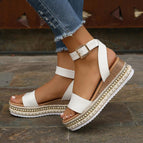 White / 36