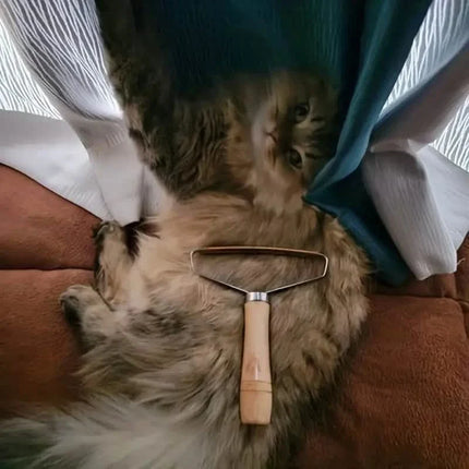 2-Pack: Pet Hair Remover Brush Manual Lint Roller
