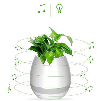 Music Flowerpot