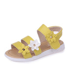 Yellow / 33