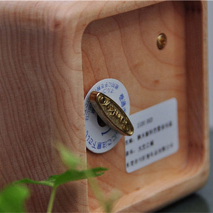Chinese Valentine's Day gift male wooden music box