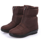 Brown / 38