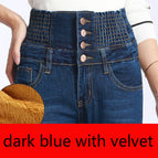 Dark blue with velvet / 30