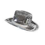 Silver / Cowboy Hat Large Glass Piece / One size