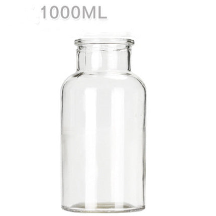 Hydroponic Plant Glass Bottle Living Room Decorations