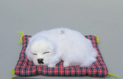 Sound dog toy