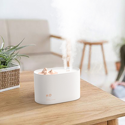 Wireless Mini USB charging sprayer