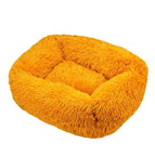 Yellow / XS