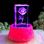 Single lamp holder / USB