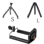 Normal S and L