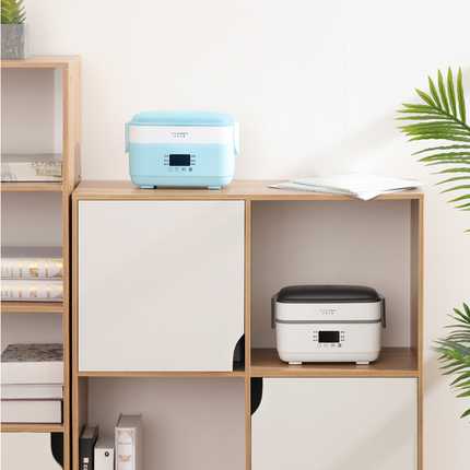Electric lunch box