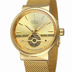 Gold shell 1