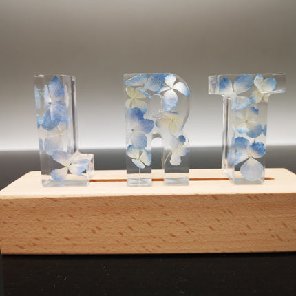 Dried Flower English Alphabet Night Light Base Table