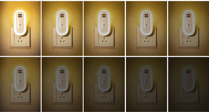 Oval Small Night Lamp With Dual USB Charging Port Remote Control Timing Plug-in Wall