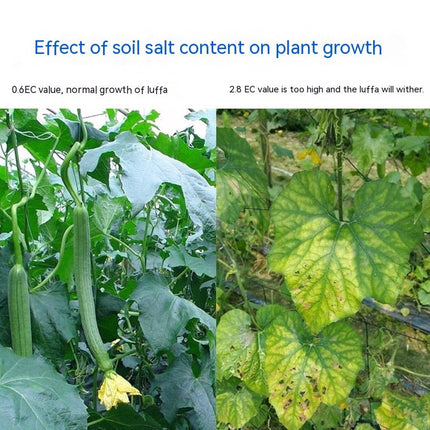 Thermometer Soil Conductivity Meter Water Quality Hydroponic Planting Instrument