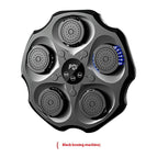 Black / Bluetooth Music Boxing Target