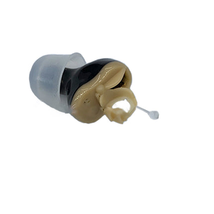 Hearing Aid