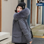 Blue gray / M