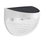 White / White light