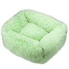 Fruit Green / XS