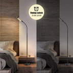 2pcs Lamps 12V / Remote Control Style / US