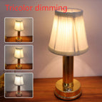 Tricolor dimming / Gold / USB
