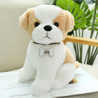 Shih Tzu / 22cm