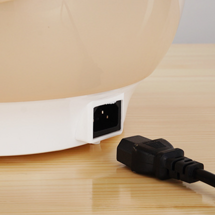 Household electric cooker