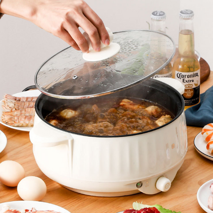 Household electric cooker