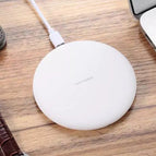 Plain shell white