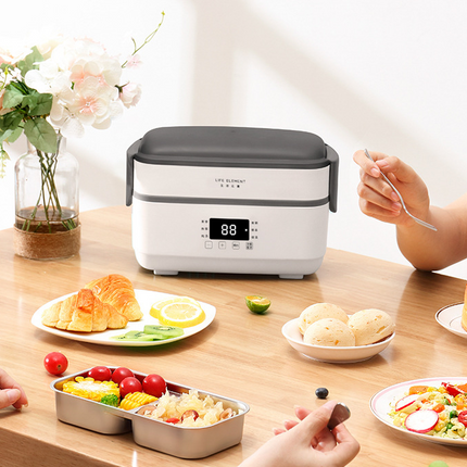 Electric lunch box