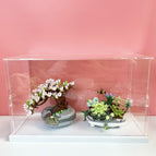 Cherry blossom and succulent / Display box