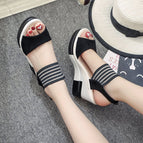 Black / 34