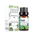 Basil / 10ML