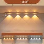 Silver tricolor light / 60cm