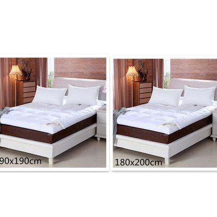 10cm Household Mattress Dormitory Soft Winter Warm