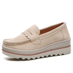 Apricot Color / 40