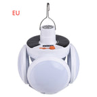 White / EU