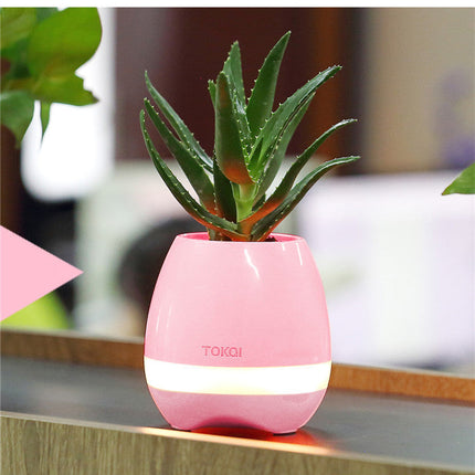 Touch-sensitive music vase desktop audio