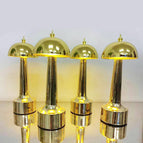 Yellow light / 220V US