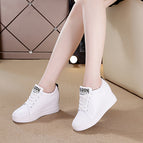 White(Cotton) / 250
