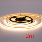 3000K warm white 2m / DC 12V 8wide320D
