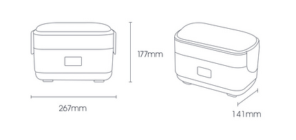 Electric lunch box